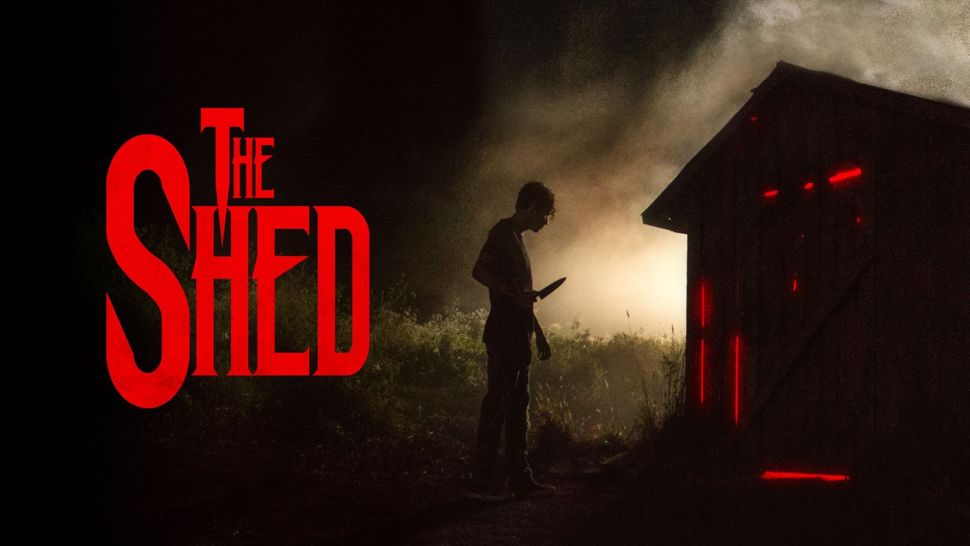 The Shed